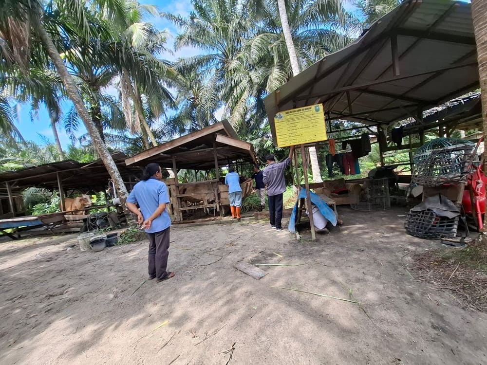  Silaturahmi dengan UMKM dan Kunjungan ke Kelompok Budidaya Sapi Sido Maju di Kelurahan Tanjung Palas