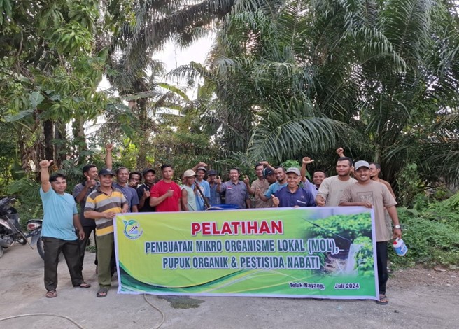 Pelatihan Pembuatan Mikro Organisme Lokal (MOL) dan Pupuk Organik di Kepenghuluan Teluk Nayang