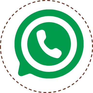 Icon Whatsapp